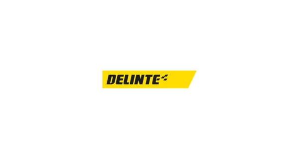 Delinte lastik markası logosu